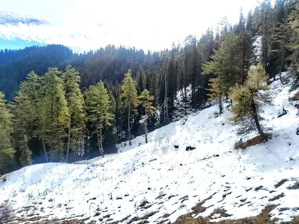 Himachal Winter